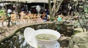 People’s Park in Chengdu