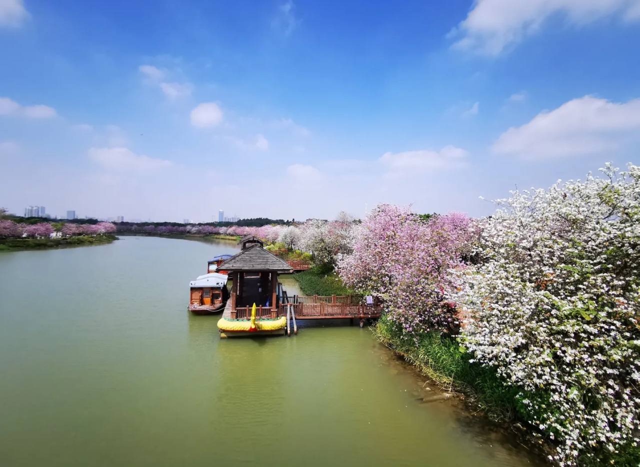 Haizu Haizhu Wetland Park – The Green Lung of Guangzhou - TRAVEL UR CHINA