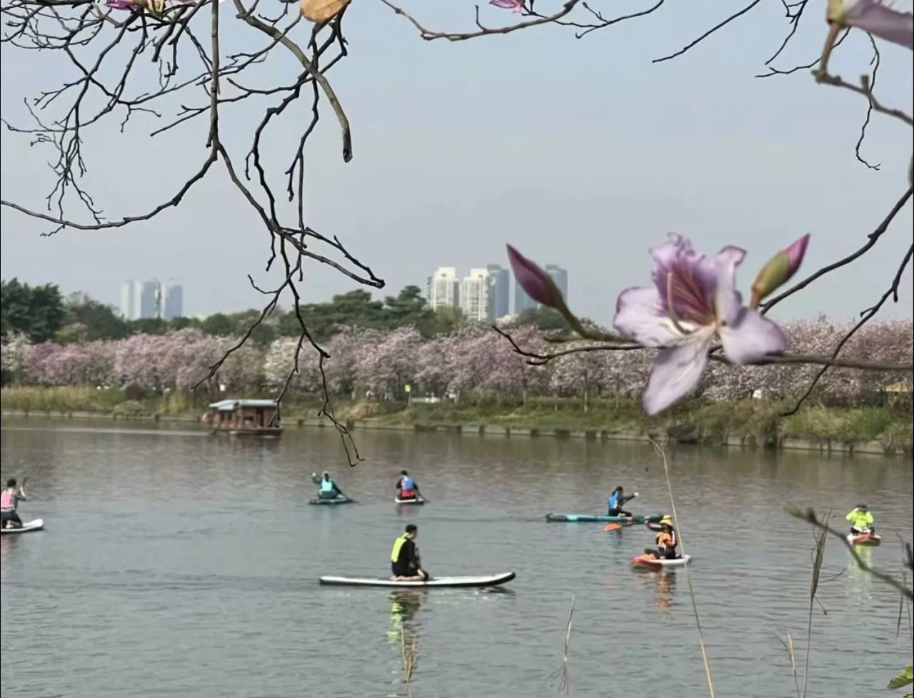 Haizu Haizhu Wetland Park – The Green Lung of Guangzhou - TRAVEL UR CHINA