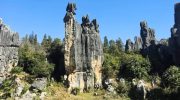 Stone Forest Kunming