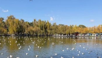 Cuihu Park or Green Lake Park in Kunming