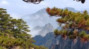 Huangshan – The most scenic mountain hike