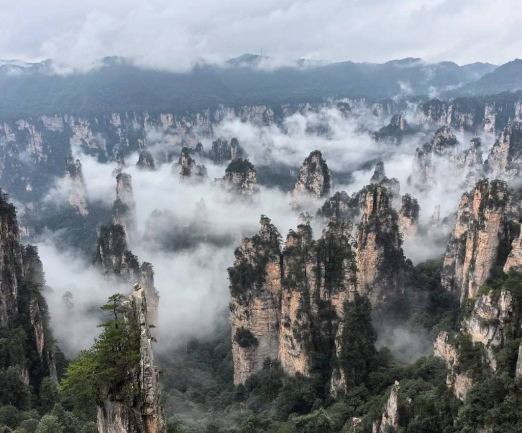 Zhangjiajie 2-Day Itinerary Explore the Avatar Mountains (2026)