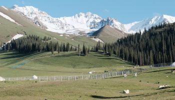 Nalati Grassland