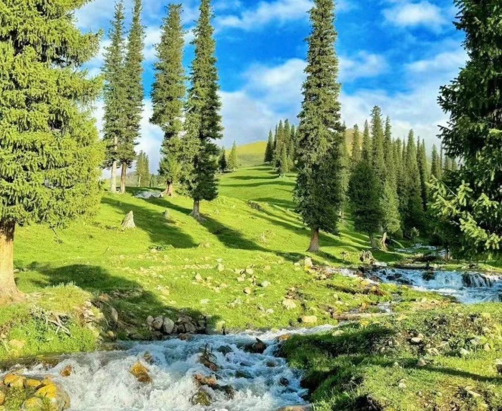 Nalati Grassland XInjiang in China