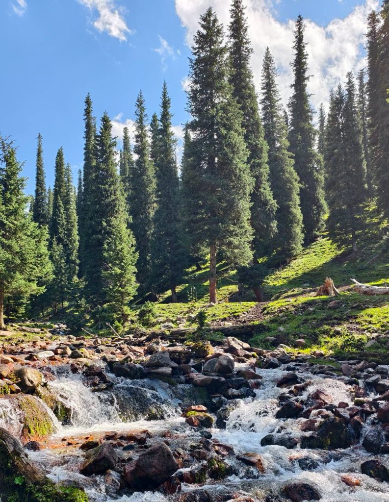 Nalati Grassland Xinjiang