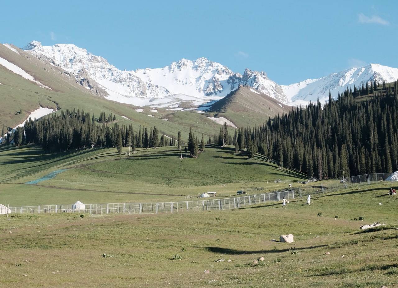 Nalati Grassland