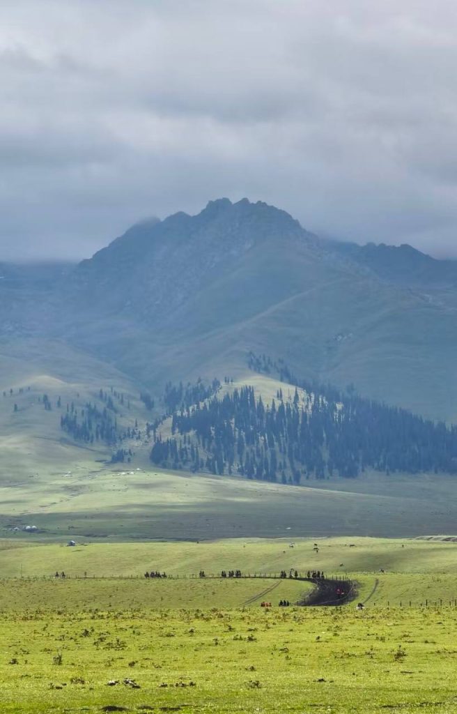 grasslands Nalati Xinjiang