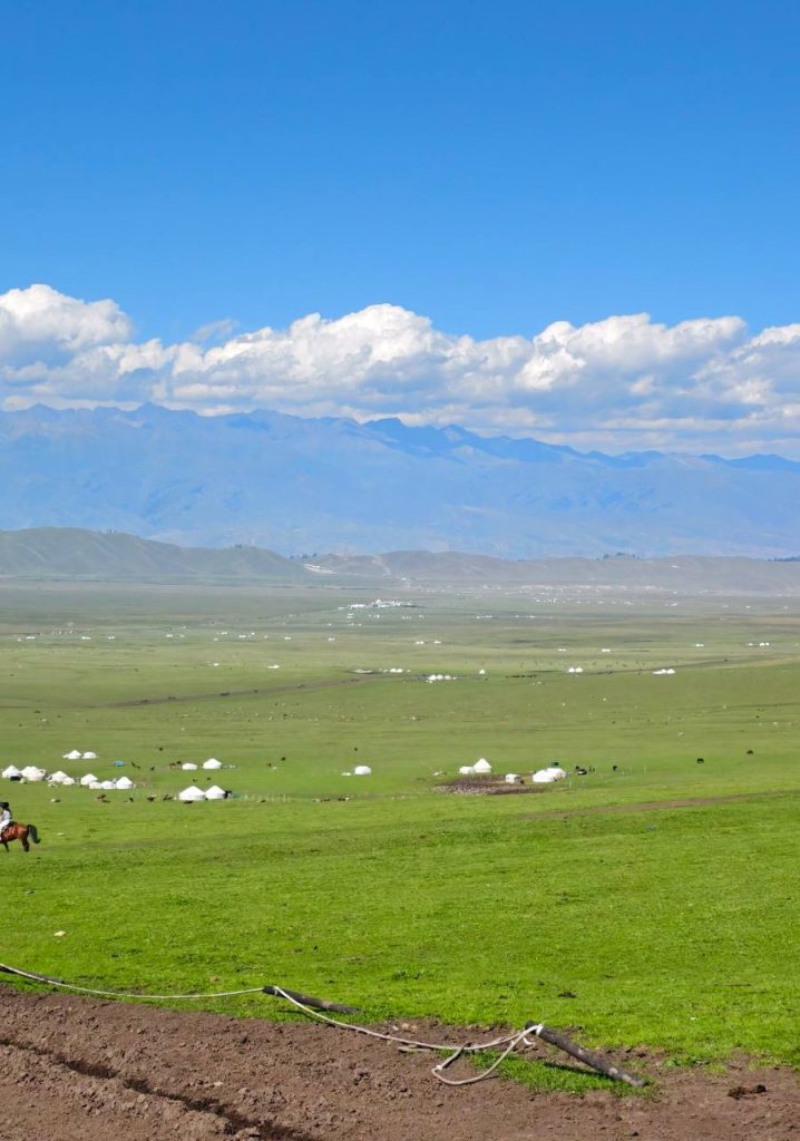 grasslands in Xinjiang Nalati China